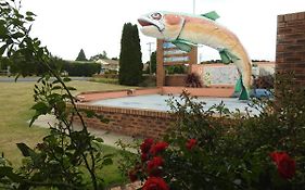 Big Trout Motel